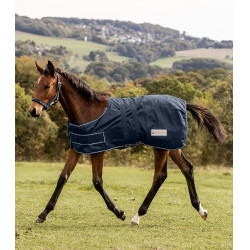 Couverture de pluie Waldhausen Comfort poulain Bleu nocturne Couverture de pluie Waldhausen Comfort poulain Bleu nocturne