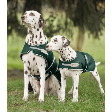 Couverture de pluie Waldhausen chien Vert sapin