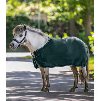 Couverture polaire Waldhausen Economic Vert sapin