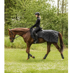 Couvre-reins Waldhausen Exclusive 50 g Noir Couvre-reins Waldhausen Exclusive 50 g Noir