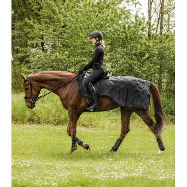 Couvre-reins Waldhausen Exclusive 50 g Couvre-reins Waldhausen Exclusive 50 g