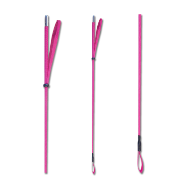 Cravache Waldhausen Rose