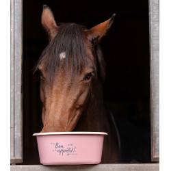 Mangeoire avec couvercle Waldhausen Linnea rose