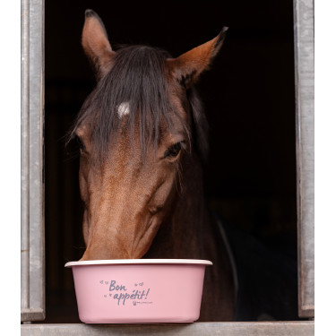 Mangeoire avec couvercle Waldhausen Linnea rose