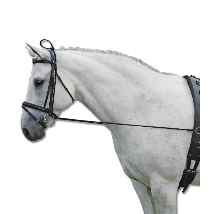 Elongateur Waldhausen d‘encolure élastique Elongateur Waldhausen d‘encolure élastique