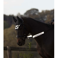 Ensemble réfléchissant Waldhausen pour brides Reflex Néon jaune