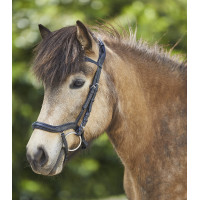 Filet Waldhausen Island anatomique Noir / argent Filet Waldhausen Island anatomique Noir / argent