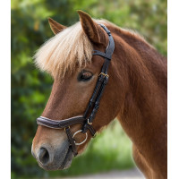 Filet Waldhausen Island anatomique Marron / doré