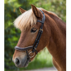 Filet Waldhausen Island anatomique Marron / doré