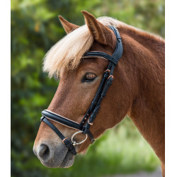 Filet Waldhausen Island Rose Noir / or rosé Filet Waldhausen Island Rose Noir / or rosé