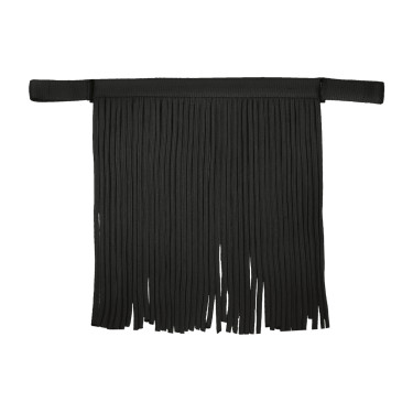 Frontal chasse-mouche Waldhausen Salon Noir