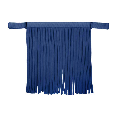 Frontal chasse-mouche Waldhausen Salon Bleu