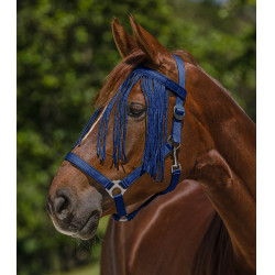 Frontal chasse-mouche Waldhausen Salon Bleu