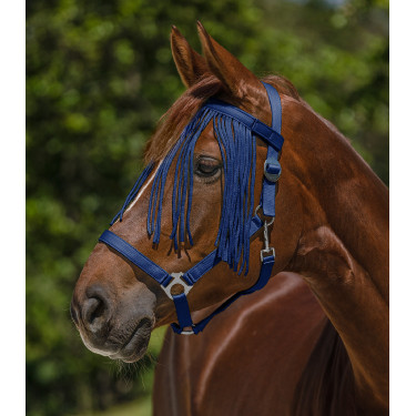 Frontal chasse-mouche Waldhausen Salon Bleu