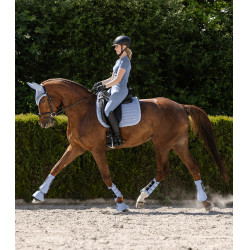 Guêtre de dressage Waldhausen Rimini Bleu pastel
