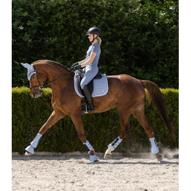 Guêtre de dressage Waldhausen Rimini Bleu pastel