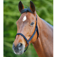 Licol de pâturage Waldhausen Bleu nocturne Licol de pâturage Waldhausen Bleu nocturne