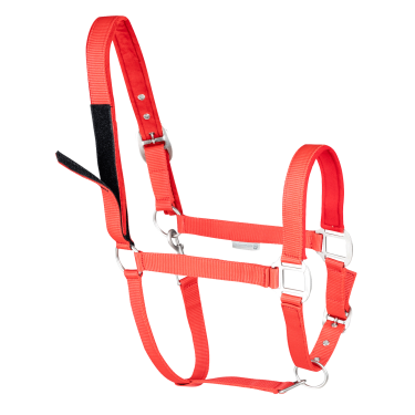 Licol de sécurité Waldhausen Rouge