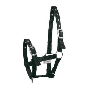 Licol Poulain Waldhausen Triple Noir