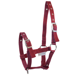 Licol Poulain Waldhausen Triple