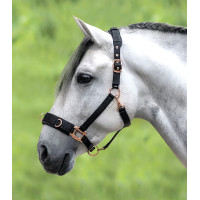 Licol pour longer Waldhausen Rosé Noir