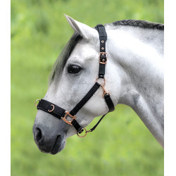 Licol pour longer Waldhausen Rosé Noir Licol pour longer Waldhausen Rosé Noir