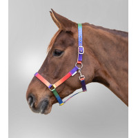 Licol Waldhausen Arc-en-ciel Néon multicolor Licol Waldhausen Arc-en-ciel Néon multicolor