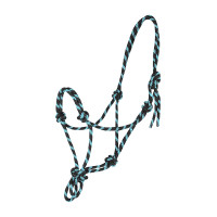 Licol Waldhausen à noeuds Noir / menthe Licol Waldhausen à noeuds Noir / menthe