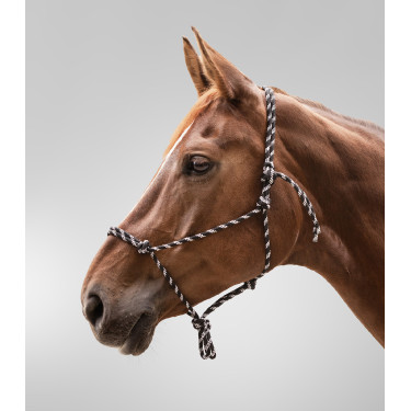 Licol Waldhausen à noeuds Noir / blanc Licol Waldhausen à noeuds Noir / blanc