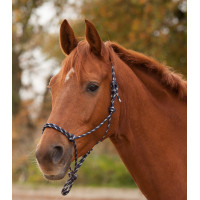 Licol Waldhausen à noeuds Bleu nocturne / argent Licol Waldhausen à noeuds Bleu nocturne / argent