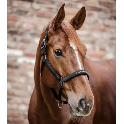 Licol Waldhausen Atheltic Noir