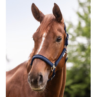 Licol Waldhausen Atheltic Bleu nocturne