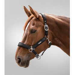 Licol Waldhausen Breath Noir Licol Waldhausen Breath Noir