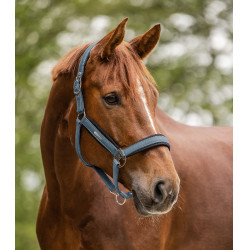 Licol Waldhausen Breath Blue craie Licol Waldhausen Breath Blue craie