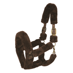 Licol Waldhausen Cozy Marron / or