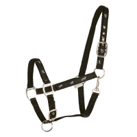 Licol Waldhausen déco Petits chevaux