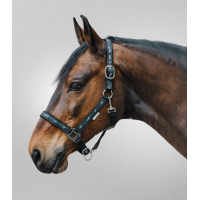 Licol Waldhausen déco Petits chevaux Noir Licol Waldhausen déco Petits chevaux Noir