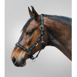 Licol Waldhausen déco Petits chevaux Noir Licol Waldhausen déco Petits chevaux Noir