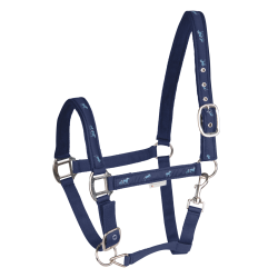 Licol Waldhausen déco Petits chevaux