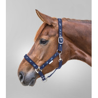 Licol Waldhausen déco Petits chevaux Bleu marine Licol Waldhausen déco Petits chevaux Bleu marine