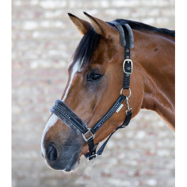 Licol Waldhausen Elegant Noir Licol Waldhausen Elegant Noir