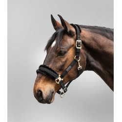 Licol Waldhausen Exclusive Noir / noir Licol Waldhausen Exclusive Noir / noir