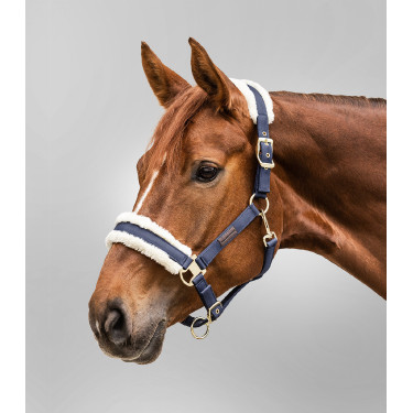 Licol Waldhausen Exclusive Bleu nocturne / beige Licol Waldhausen Exclusive Bleu nocturne / beige