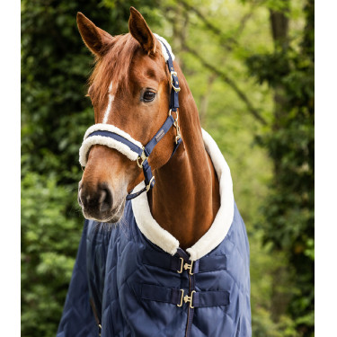 Licol Waldhausen Exclusive Bleu nocturne / beige Licol Waldhausen Exclusive Bleu nocturne / beige