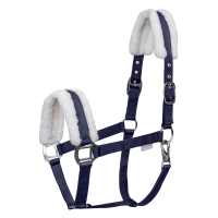 Licol Waldhausen First Bleu nocturne Licol Waldhausen First Bleu nocturne