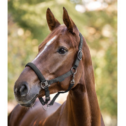 Licol Waldhausen Gloomy Gris granit