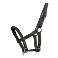 Licol Waldhausen Mini-Shetland Noir Licol Waldhausen Mini-Shetland Noir