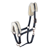 Licol Waldhausen Modern Rosé Bleu nocturne / or rosé Licol Waldhausen Modern Rosé Bleu nocturne / or rosé