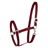 Licol Waldhausen Perlon Bordeaux