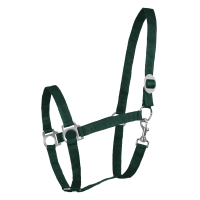 Licol Waldhausen Perlon Vert sapin